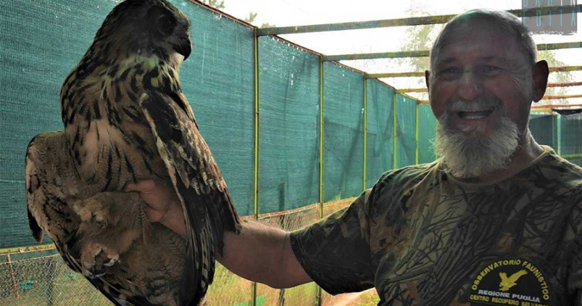 Viaggio nell'ospedale degli animali selvatici: l'Osservatorio faunistico pugliese